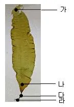 해양조사산업기사 2010년 1회 60번 문제 그림