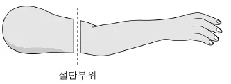 소방공무원(경력) 응급처치학개론 2026년 1회 19번 문제 그림