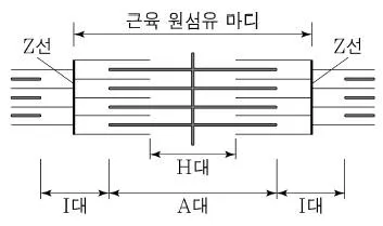 소방공무원(공개) 과학(구) 2019년 1회 14번 문제 그림