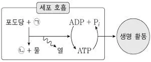 소방공무원(공개) 과학(구) 2020년 1회 1번 문제 그림