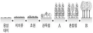 소방공무원(공개) 과학(구) 2020년 1회 4번 문제 그림