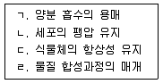 손해평가사 1차 2019년 1회 54번 문제 그림