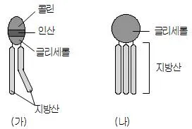 9급 국가직 공무원 과학 2013년 1회 1번 문제 그림