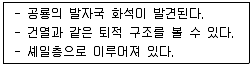 9급 국가직 공무원 과학 2015년 1회 12번 문제 그림