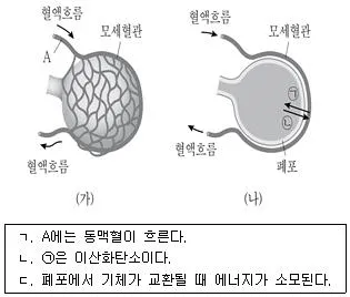 9급 국가직 공무원 과학 2018년 1회 1번 문제 그림