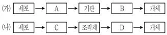 9급 국가직 공무원 과학 2019년 1회 2번 문제 그림