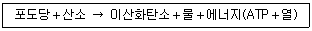 9급 국가직 공무원 과학 2019년 1회 3번 문제 그림