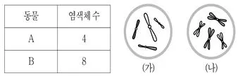 9급 국가직 공무원 과학 2019년 1회 5번 문제 그림