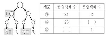 9급 국가직 공무원 과학 2020년 1회 5번 문제 그림