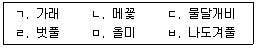 9급 국가직 공무원 식용작물 2014년 1회 4번 문제 그림