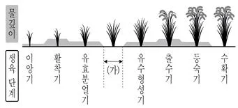 9급 국가직 공무원 식용작물 2019년 1회 13번 문제 그림