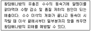 9급 국가직 공무원 식용작물 2019년 1회 2번 문제 그림