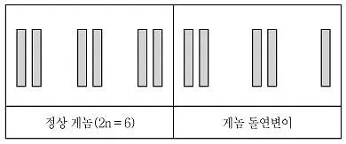 9급 국가직 공무원 재배학개론 2022년 1회 10번 문제 그림