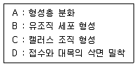 9급 국가직 공무원 조림 2015년 1회 9번 문제 그림