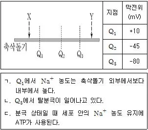 9급 지방직 공무원 서울시 과학 2016년 1회 14번 문제 그림