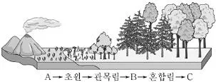 9급 지방직 공무원 서울시 과학 2017년 1회 15번 문제 그림