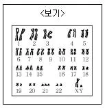9급 지방직 공무원 서울시 과학 2019년 1회 2번 문제 그림