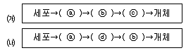 9급 지방직 공무원 서울시 과학 2019년 2회 2번 문제 그림