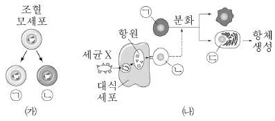 9급 지방직 공무원 서울시 과학 2019년 2회 20번 문제 그림