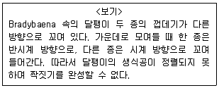 9급 지방직 공무원 서울시 생물 2019년 1회 13번 문제 그림