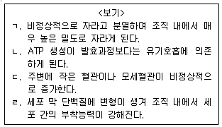9급 지방직 공무원 서울시 생물 2019년 1회 17번 문제 그림