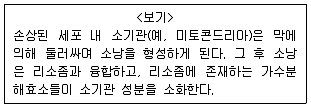 9급 지방직 공무원 서울시 생물 2019년 1회 3번 문제 그림