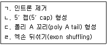 9급 지방직 공무원 서울시 생물 2020년 1회 9번 문제 그림