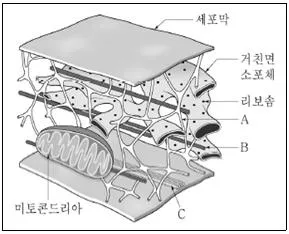 9급 지방직 공무원 서울시 생물 2022년 1회 2번 문제 그림