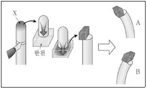 9급 지방직 공무원 서울시 생물 2022년 1회 3번 문제 그림