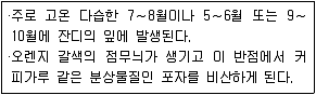 9급 지방직 공무원 서울시 조경학 2021년 1회 18번 문제 그림
