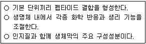 9급 지방직 공무원 과학 2013년 1회 4번 문제 그림