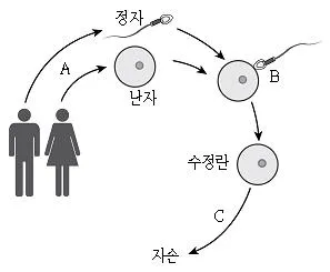 9급 지방직 공무원 과학 2016년 1회 4번 문제 그림
