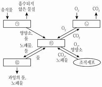 9급 지방직 공무원 과학 2016년 2회 4번 문제 그림