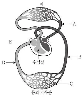 9급 지방직 공무원 과학 2017년 1회 2번 문제 그림