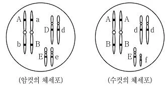 9급 지방직 공무원 과학 2017년 2회 4번 문제 그림