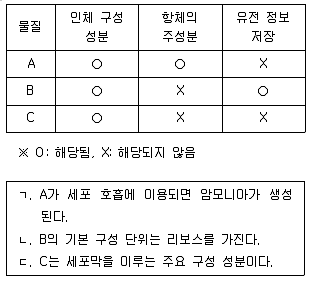 9급 지방직 공무원 과학 2019년 1회 2번 문제 그림