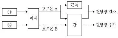 9급 지방직 공무원 과학 2019년 1회 4번 문제 그림