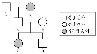 9급 지방직 공무원 과학 2019년 1회 5번 문제 그림