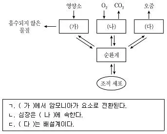 9급 지방직 공무원 과학 2020년 1회 1번 문제 그림