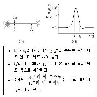 9급 지방직 공무원 과학 2020년 1회 4번 문제 그림