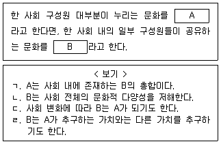 9급 지방직 공무원 사회 2019년 1회 11번 문제 그림