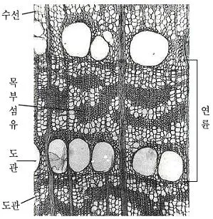 9급 지방직 공무원 조림 2009년 1회 19번 문제 그림
