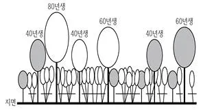 9급 지방직 공무원 조림 2024년 1회 9번 문제 그림